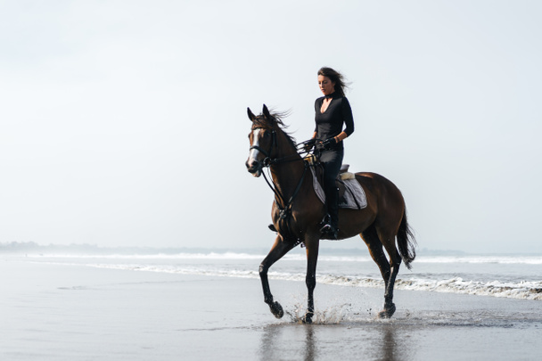 horseback - Photo, Image