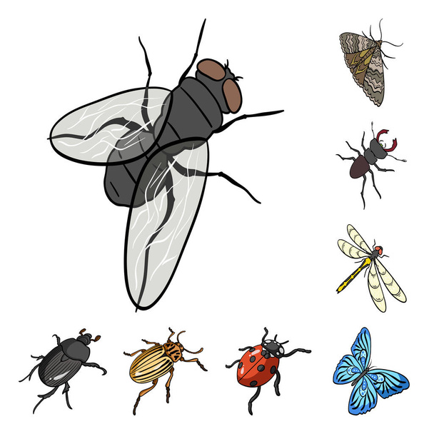 さまざまな種類の昆虫の漫画のデザインのセットのコレクションのアイコン。節足動物媒介昆虫等尺性シンボル ストック web イラスト. - ベクター画像