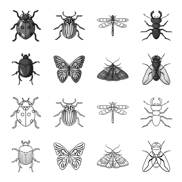 Wrecker, parasite, nature, butterfly .Insects set collection icons in outline,monochrome style vector symbol stock illustration web. - Vektor, Bild