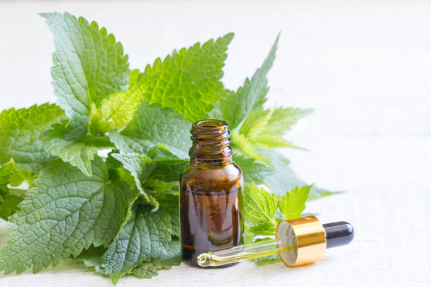 Nettle essence, oil in a small bottle and fresh leaves on white background - Photo, image