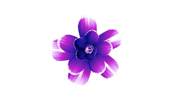 Öffnung lange blühende lila Blume Zeitraffer 3d-Animation isoliert auf dem Hintergrund neue Qualität schönen Urlaub natürliche Blumen cool schön 4k Videomaterial - Filmmaterial, Video
