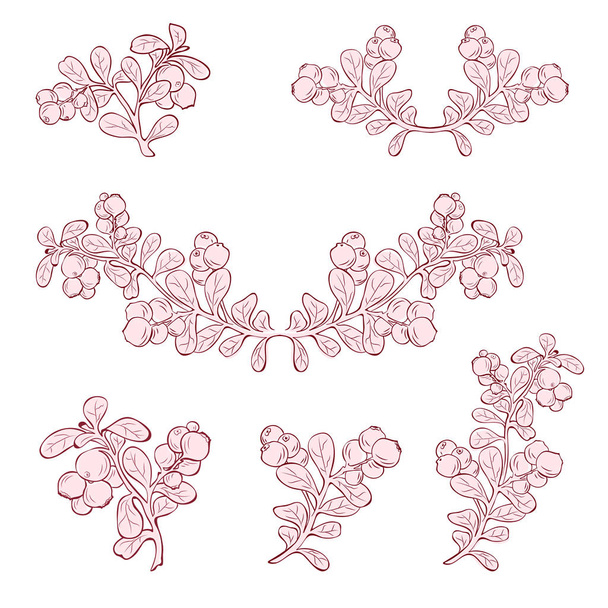 Ramas de silueta de Lingonberry
 - Vector, Imagen