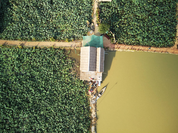 Вид с воздуха на ферму лотосов
  - Фото, изображение