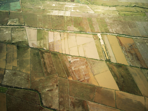 Vista aérea da exploração de lótus
  - Foto, Imagem