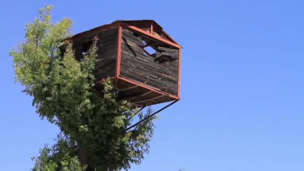 Törött fa ház fölött a tiszta ég - Felvétel, videó