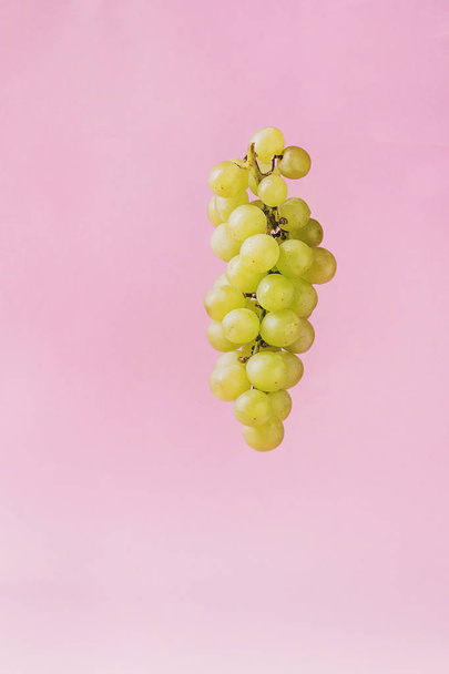 Bunch of ripe green grapes over pink pastel pin-up background. Copy space. - Фото, изображение