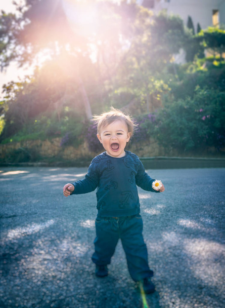 Cute happy little boy - Photo, image