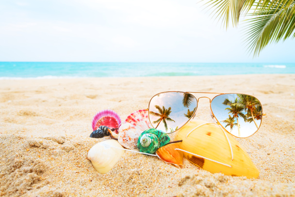 sunglasses and seashell on the sandy tropical beach with clear blue sky. Leisure in summer and Summer vacation concept. vintage color tone. - Photo, Image