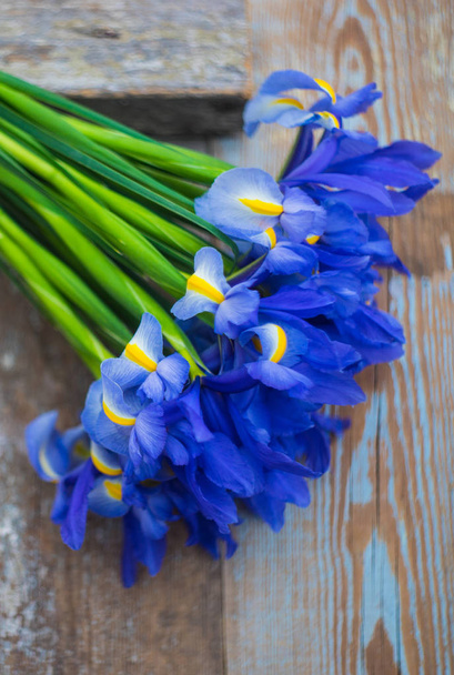 Beautiful blue iris flowers in a bouquet - Photo, Image