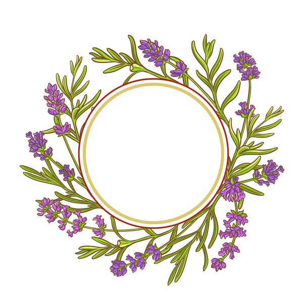 lavender plant vector frame - Vecteur, image