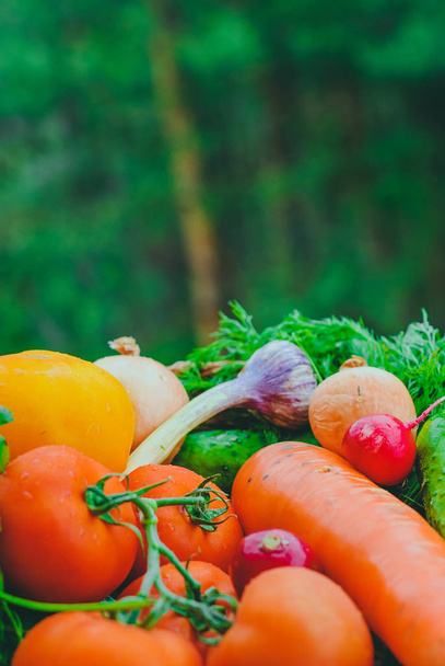 Fresh organic vegetables in the basket - Zdjęcie, obraz