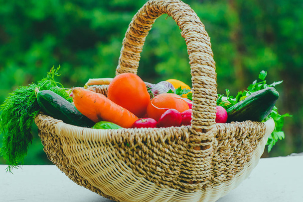 Fresh organic vegetables in the basket - Photo, image