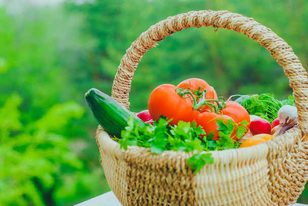 Fresh organic vegetables in the basket - Foto, Imagen
