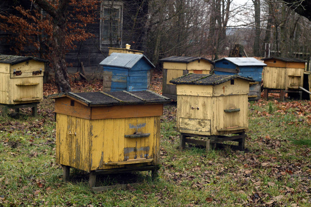 Old bee hives in autumn. - Photo, Image