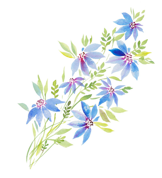 watercolor illustration, curly clematis plant, blue and pink flowers branch and leaves - Foto, Imagem
