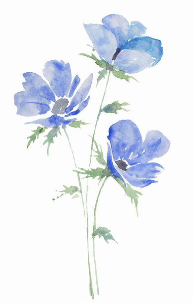 illustration watercolor, drawing bouquet of flowers anemones blue, sketch spots - Photo, image
