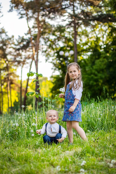 little brother and the sister sit on a glade with fluffy white dandelions - Foto, Imagen