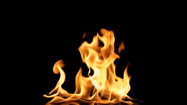 Inferno parede de fogo em câmera lenta com loop sem costura isolado
 - Filmagem, Vídeo