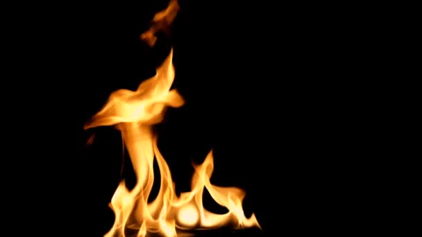 Ściana ognia Inferno w zwolnionym tempie z Płynna pętla na białym tle - Materiał filmowy, wideo