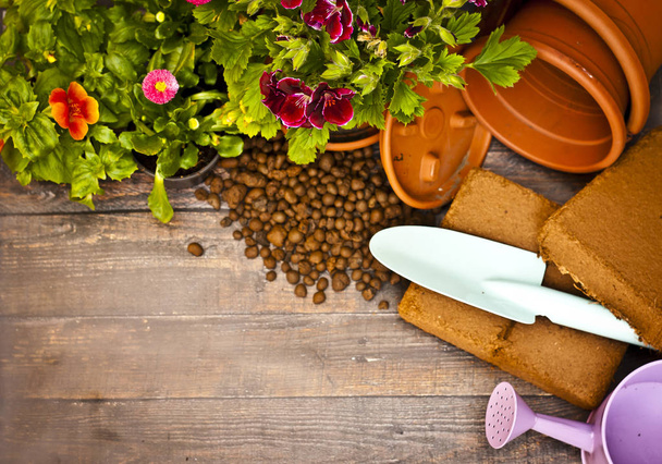 Gardening tools and flower on wooden background - Photo, Image
