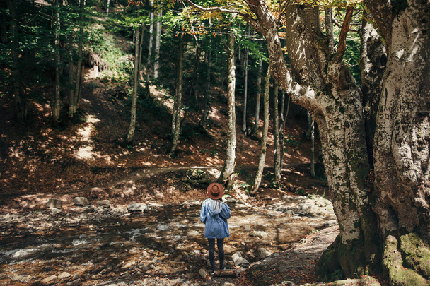 summer vacation. travel and wanderlust concept. stylish traveler girl in hat under trees looking at river in sunny forest. space for text. back view. woman traveling in mountains - Foto, afbeelding