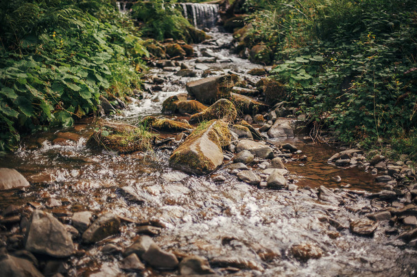 belle cascade sur la rivière dans les bois ensoleillés. rivière coulant dans la forêt et les montagnes. protection de l'environnement. beauté fraîche, fond d'écran nature
 - Photo, image