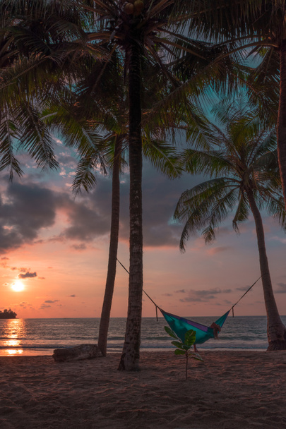 Тропічний гамаку в раю на заході сонця - Фото, зображення