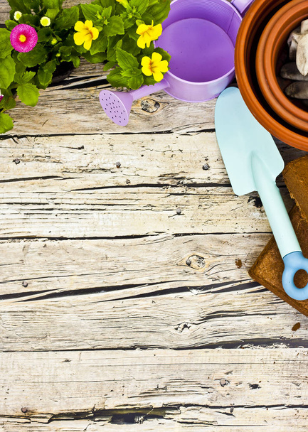 Εργαλεία κηπουρικής και λουλούδι σε φόντο ξύλινη - Φωτογραφία, εικόνα