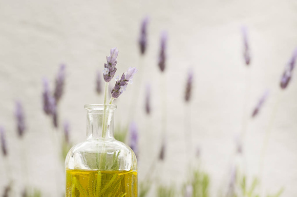 essential oil and lavender flowers - Photo, Image