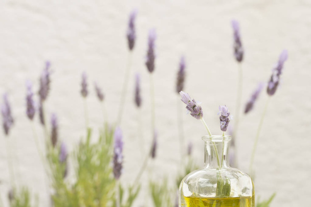 essential oil and lavender flowers - Photo, Image