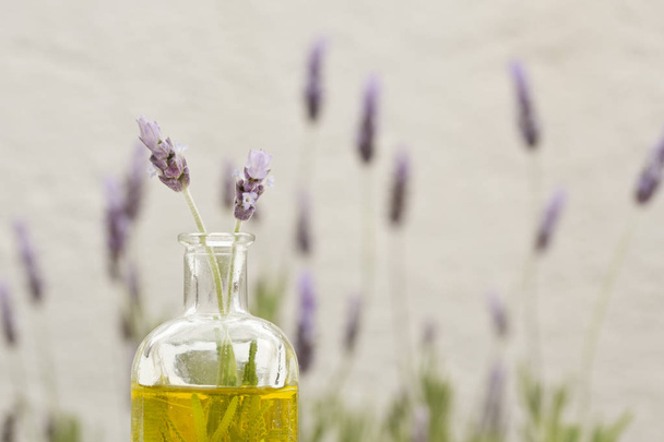 ätherisches Öl und Lavendelblüten - Foto, Bild