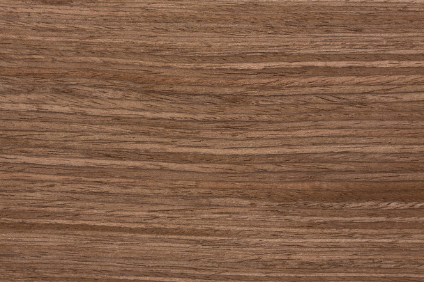 Masterly new veneer texture for your best interior. - Foto, immagini