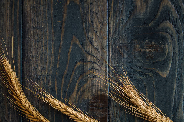espigas de trigo sobre fondo azul - Foto, imagen
