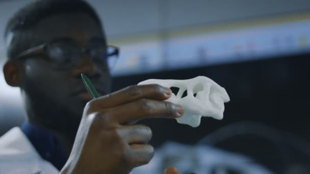Paleontolog zwiedzania 3-D drukowane modelu dinozaura - Materiał filmowy, wideo