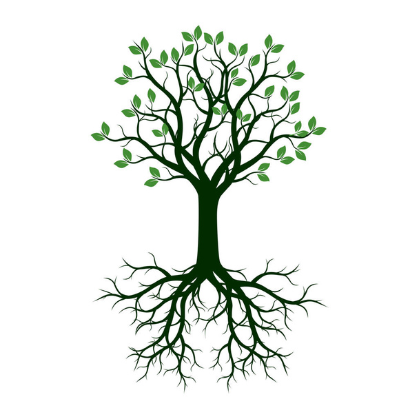 Green Tree with Roots. Vector Illustration. - Вектор,изображение