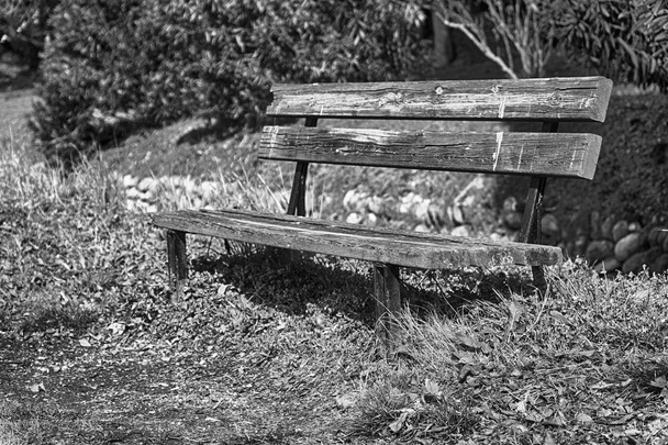 One wooden bench on sunny day in Italy, public parkland - Photo, Image