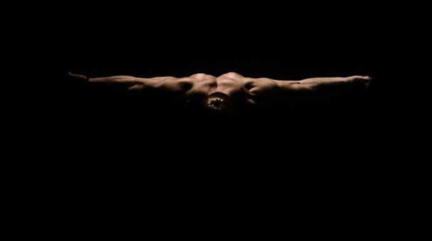 Bodybuilder torso - Fotó, kép