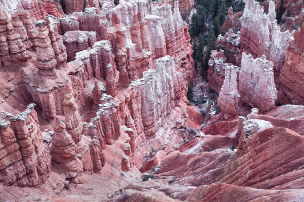 Détails de Hoodoos roses au printemps à Bryce Canyon
 - Photo, image