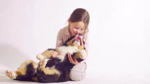 Meisje en pup van een Berner Romanesc Carpatin - Video