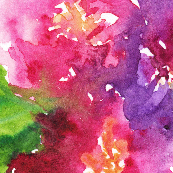 Sulu boya pembe mor çiçek çiçek Şakayık gül karanfil yaprağı kompozisyon sanat illüstrasyon doku zemin arka plan - Fotoğraf, Görsel