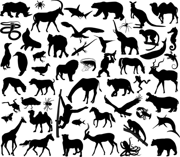 Animals silhouettes - Vector, Image