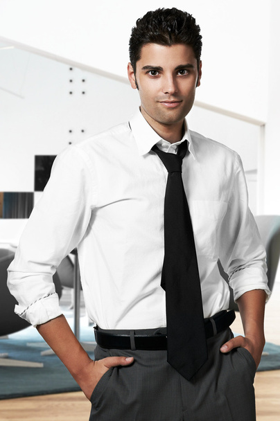 Young successful business man at office - Foto, imagen