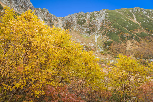 Podzimní barvy Kamokochi Karasawa v Nagano, Japonsko. - Fotografie, Obrázek
