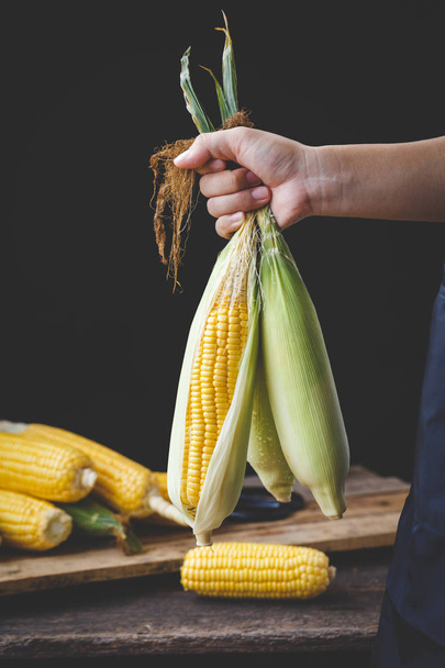 Fresh sweet corns from Vietnam - Photo, image