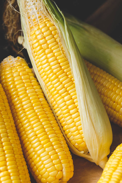 Fresh sweet corns from Vietnam - Фото, изображение
