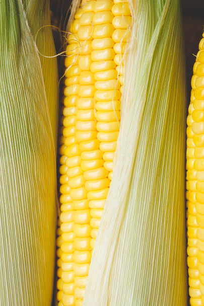 Fresh sweet corns from Vietnam - Photo, Image