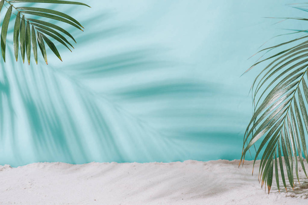 Summer concept. Palm tree shadow on a blue  background.  - 写真・画像