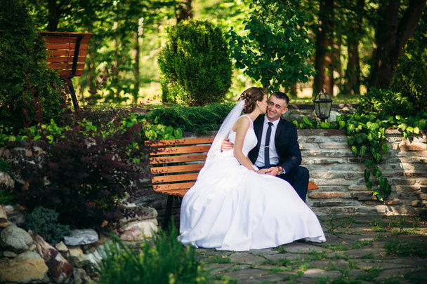 Beautiful couple walking in the park in their wedding day. Sunny weather - 写真・画像