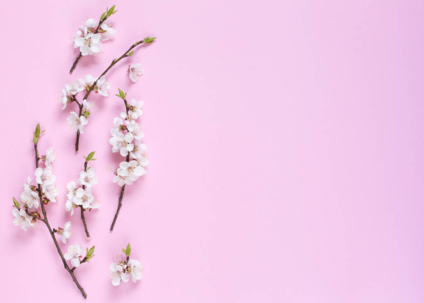 ピンクの背景の白い春の花のパターンが作られました。花の組成物。トップ ビューのコピー、正方形、フラット スペースを置く.  - 写真・画像
