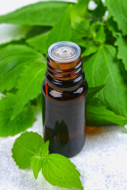 Leaves of fresh green nettle and a small bottle of medical nettle oil on a gray concrete table. - Photo, Image